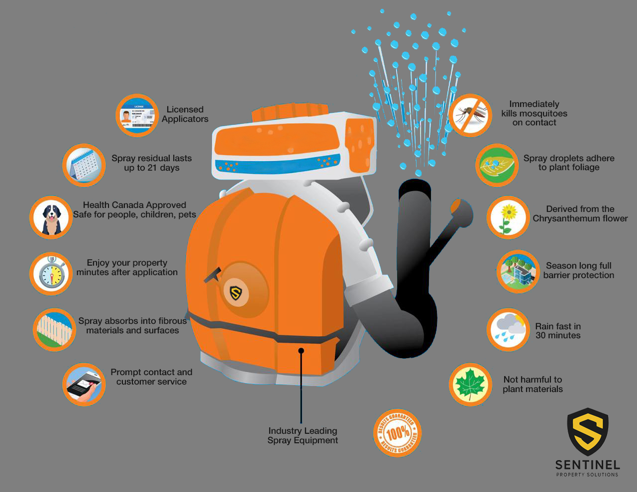 Professional spray equipment and process details